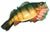 Jumbo Perch